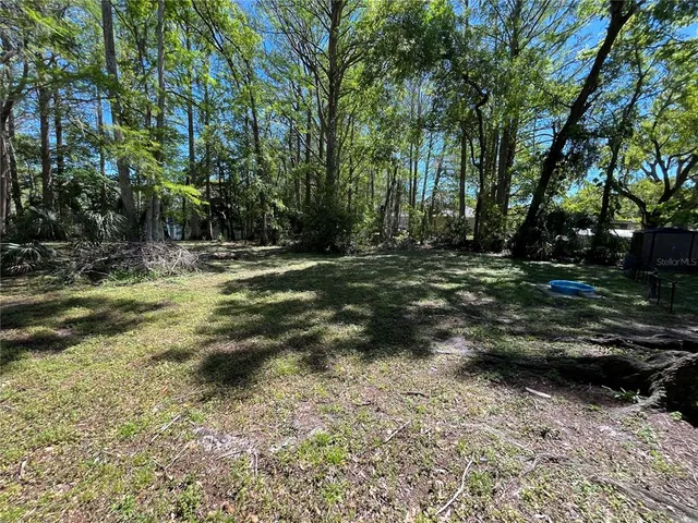 a view of a tree with a yard