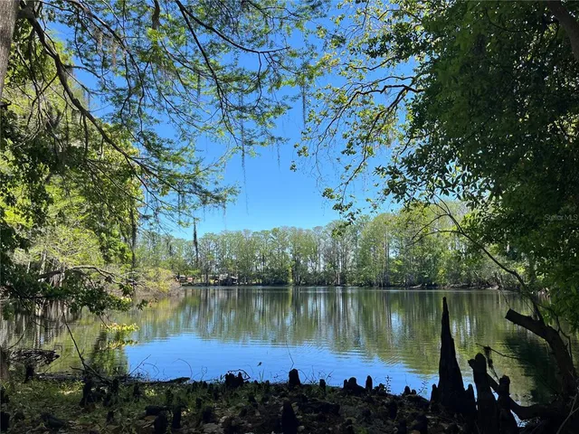 a view of a lake in middle of forest