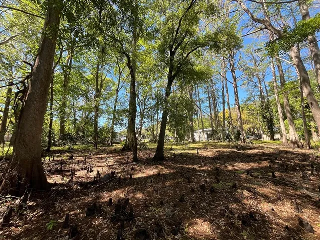 a view of road with trees
