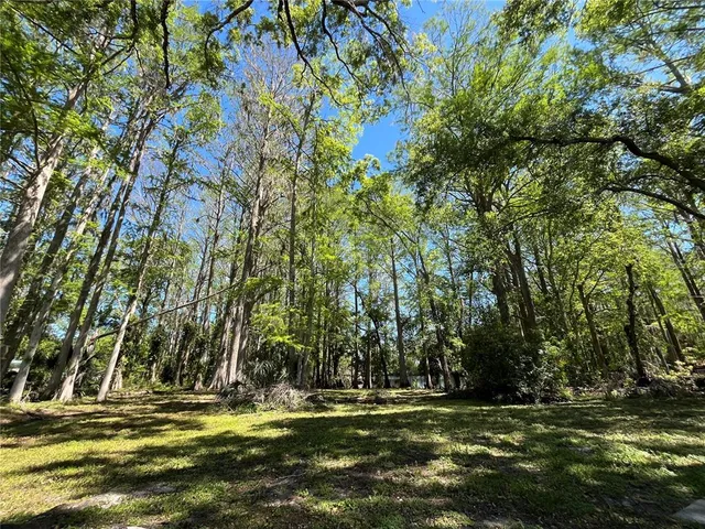 a view of a field with trees