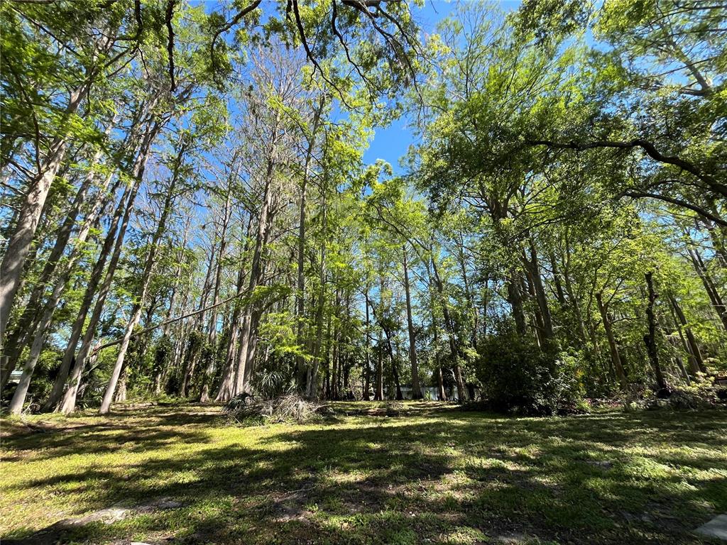 8546 Cameo Drive New Port Richey, FL 34654 - Photo 10 of 20 a view of a field with trees