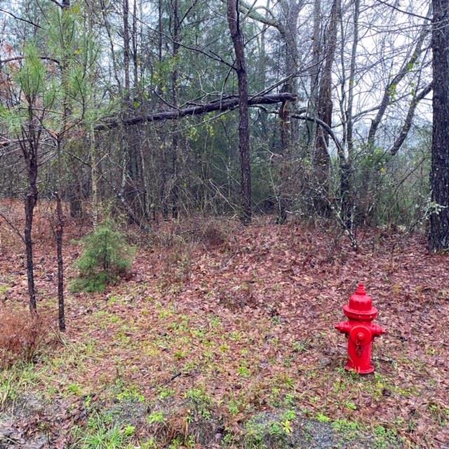 19.9-acres South Epps Road Box Springs, GA 31801 - Photo 1 of 1 Main View