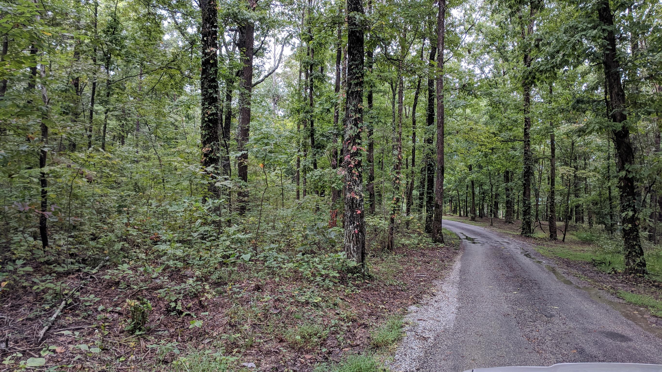0 Partin Farm Road South Pittsburg, TN 37380 - Photo 1 of 23 Gallery Image 1