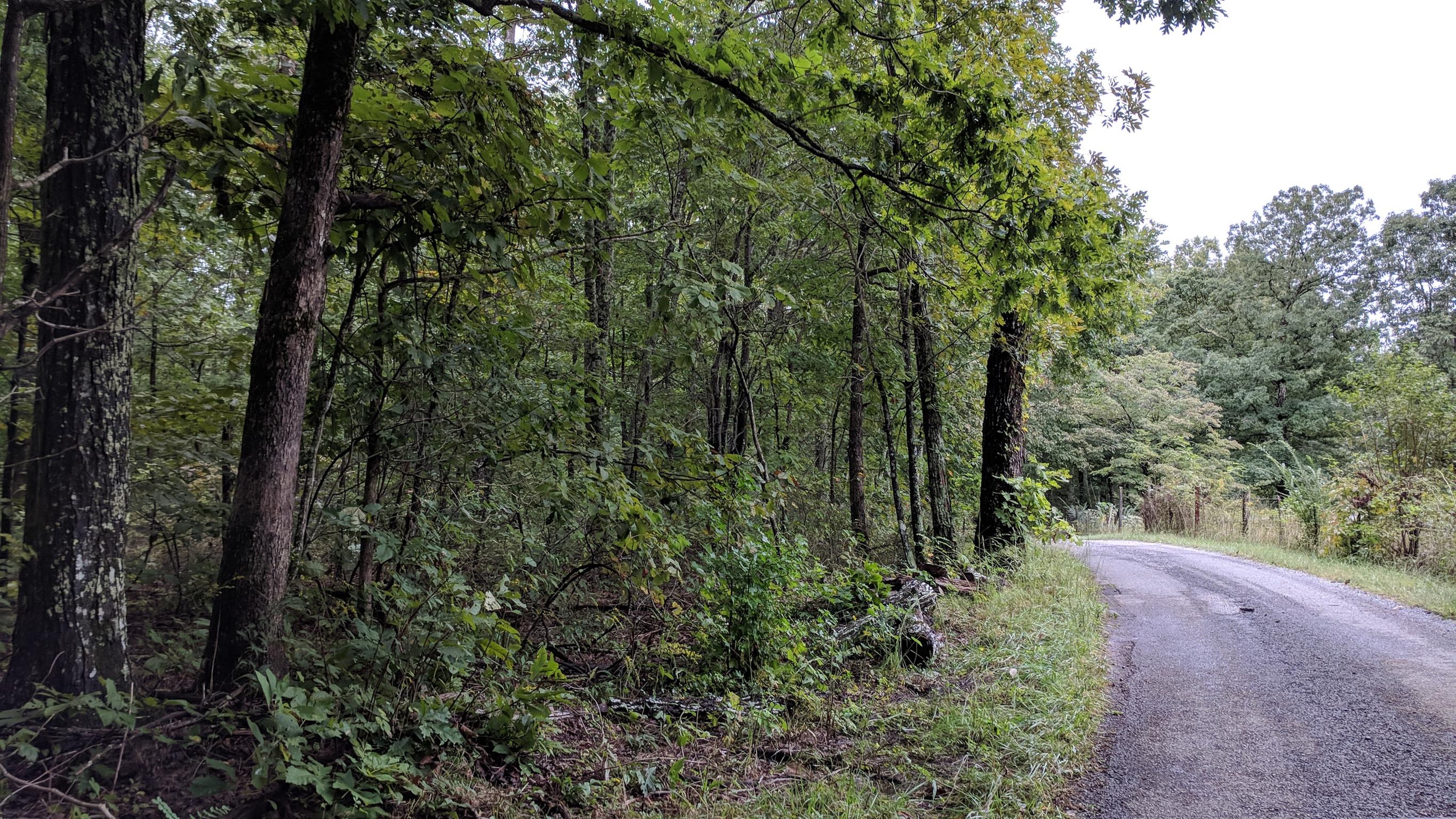 0 Partin Farm Road South Pittsburg, TN 37380 - Photo 11 of 23 Gallery Image 11