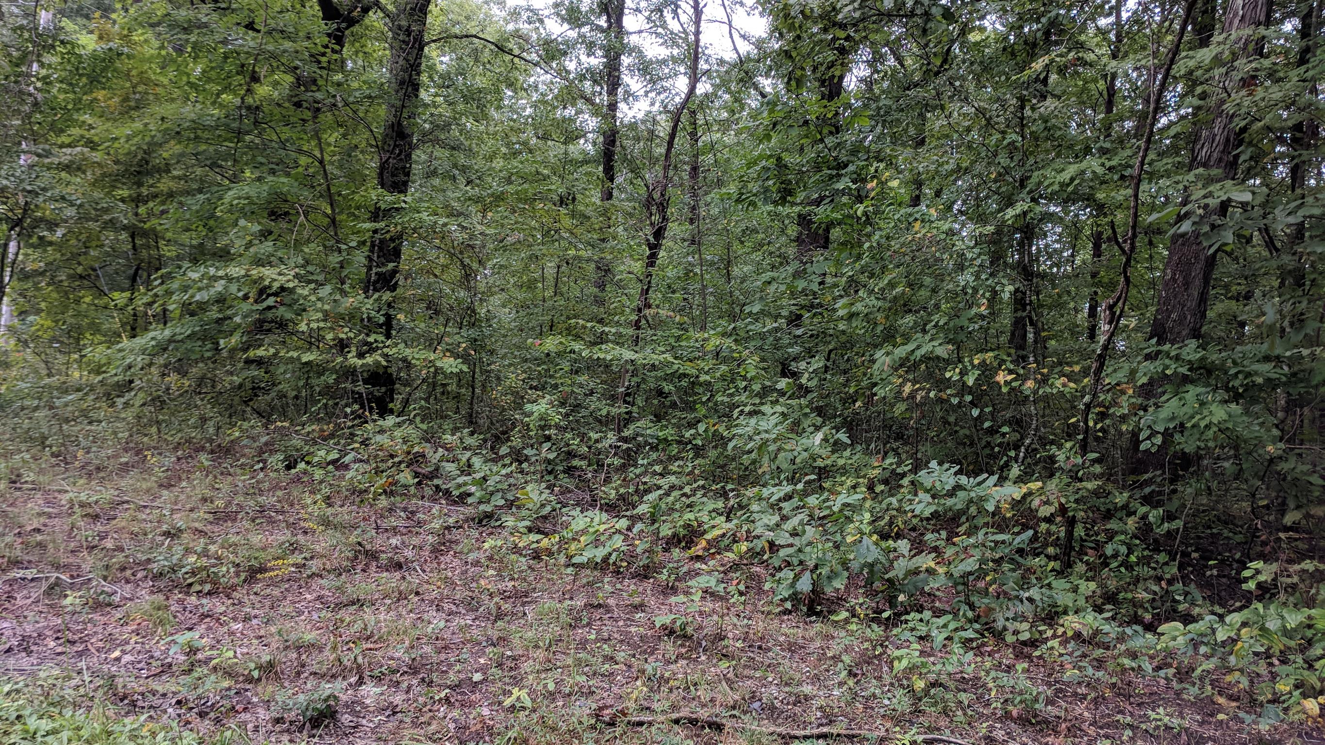 0 Partin Farm Road South Pittsburg, TN 37380 - Photo 15 of 23 Gallery Image 15