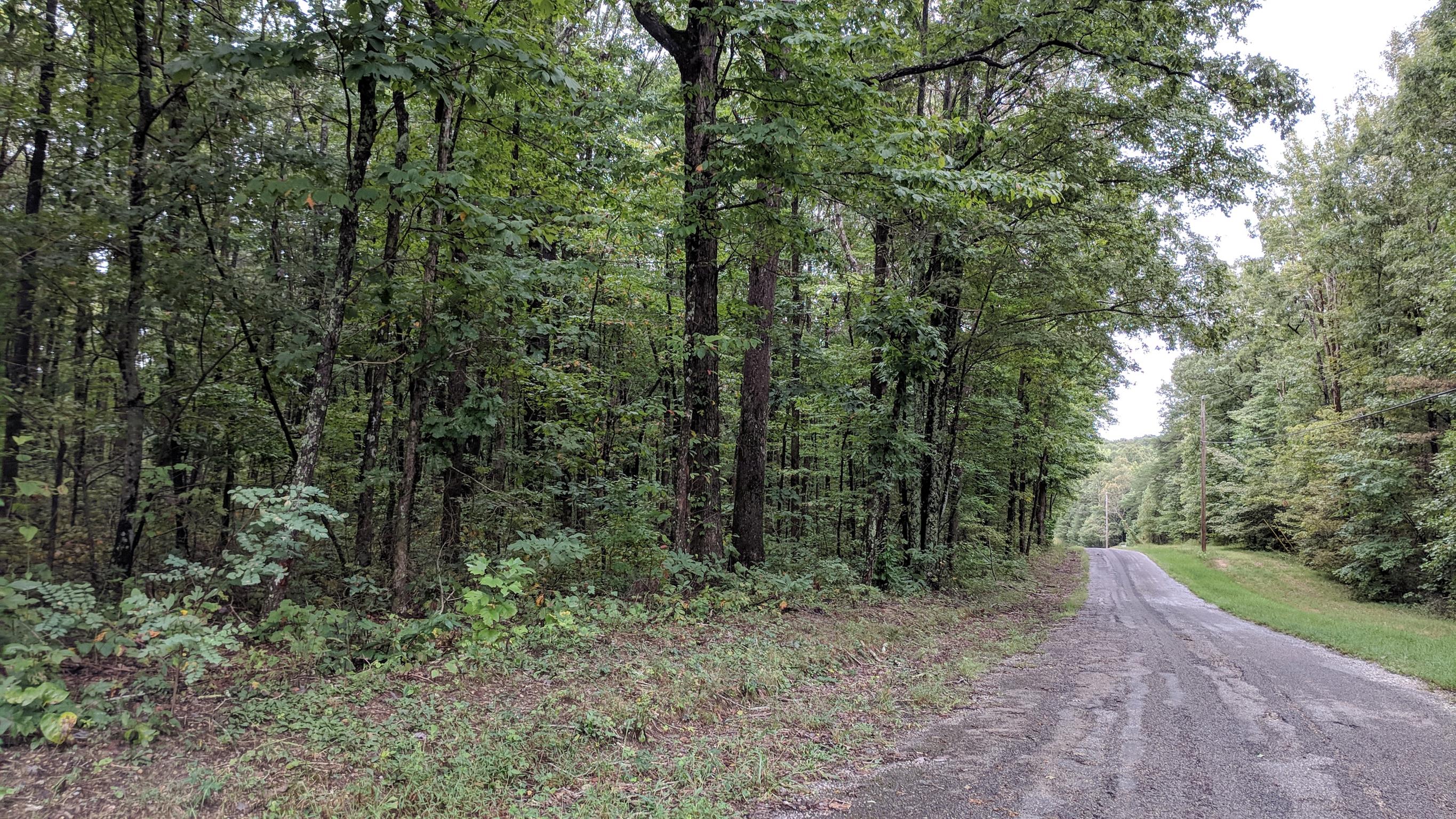 0 Partin Farm Road South Pittsburg, TN 37380 - Photo 17 of 23 Gallery Image 17
