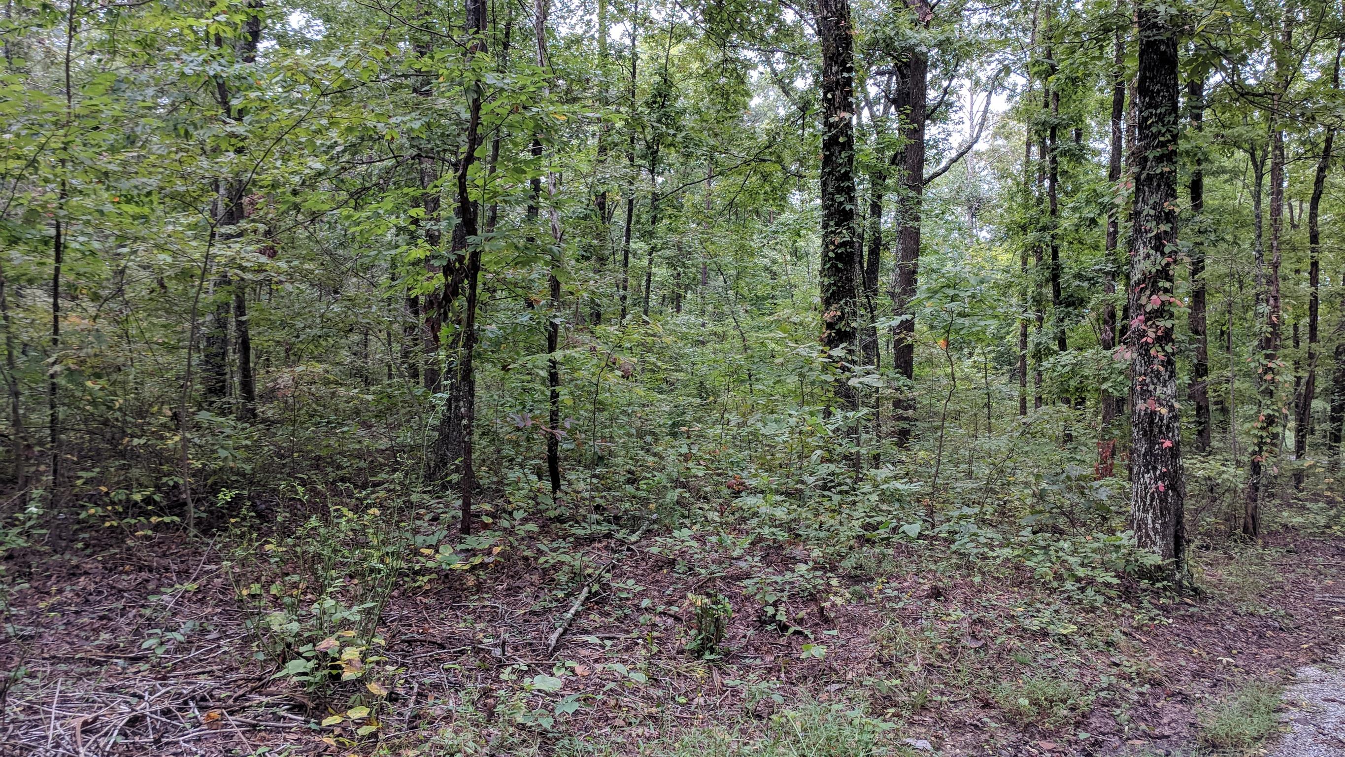 0 Partin Farm Road South Pittsburg, TN 37380 - Photo 3 of 23 Gallery Image 3