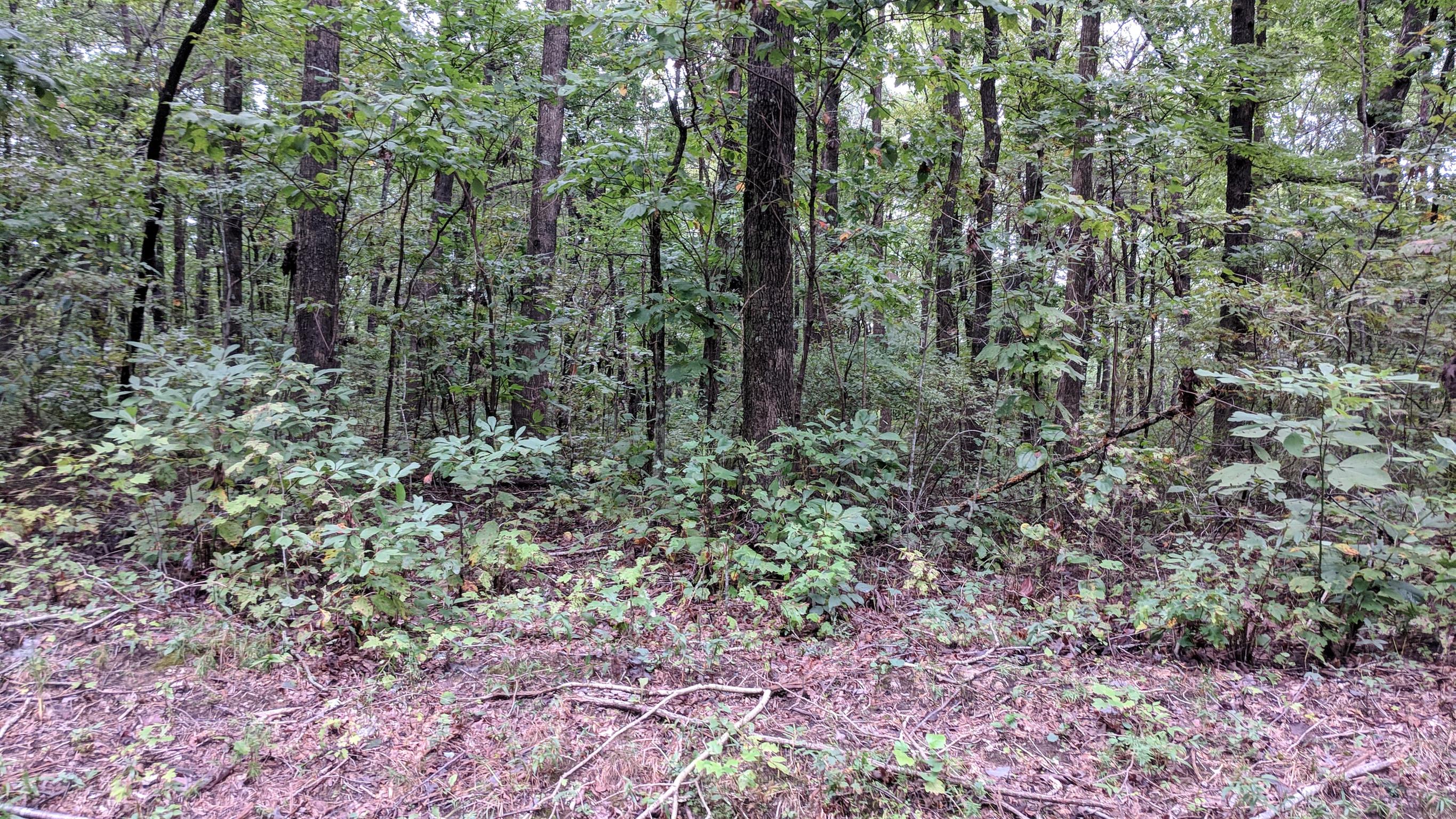 0 Partin Farm Road South Pittsburg, TN 37380 - Photo 21 of 23 Gallery Image 21