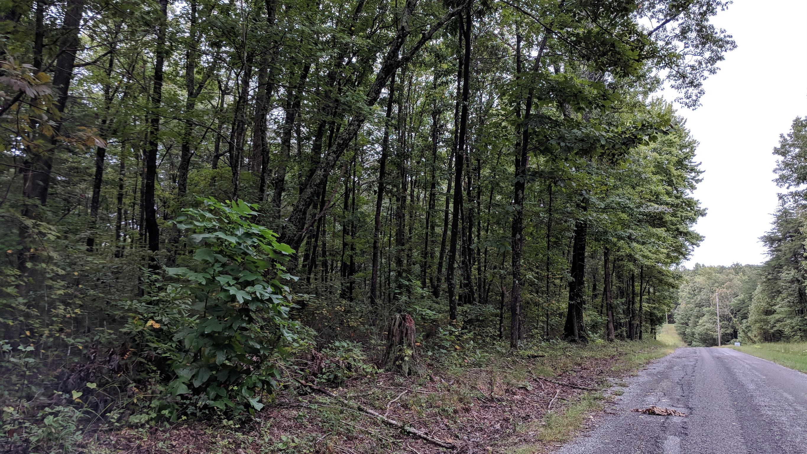 0 Partin Farm Road South Pittsburg, TN 37380 - Photo 23 of 23 Gallery Image 23