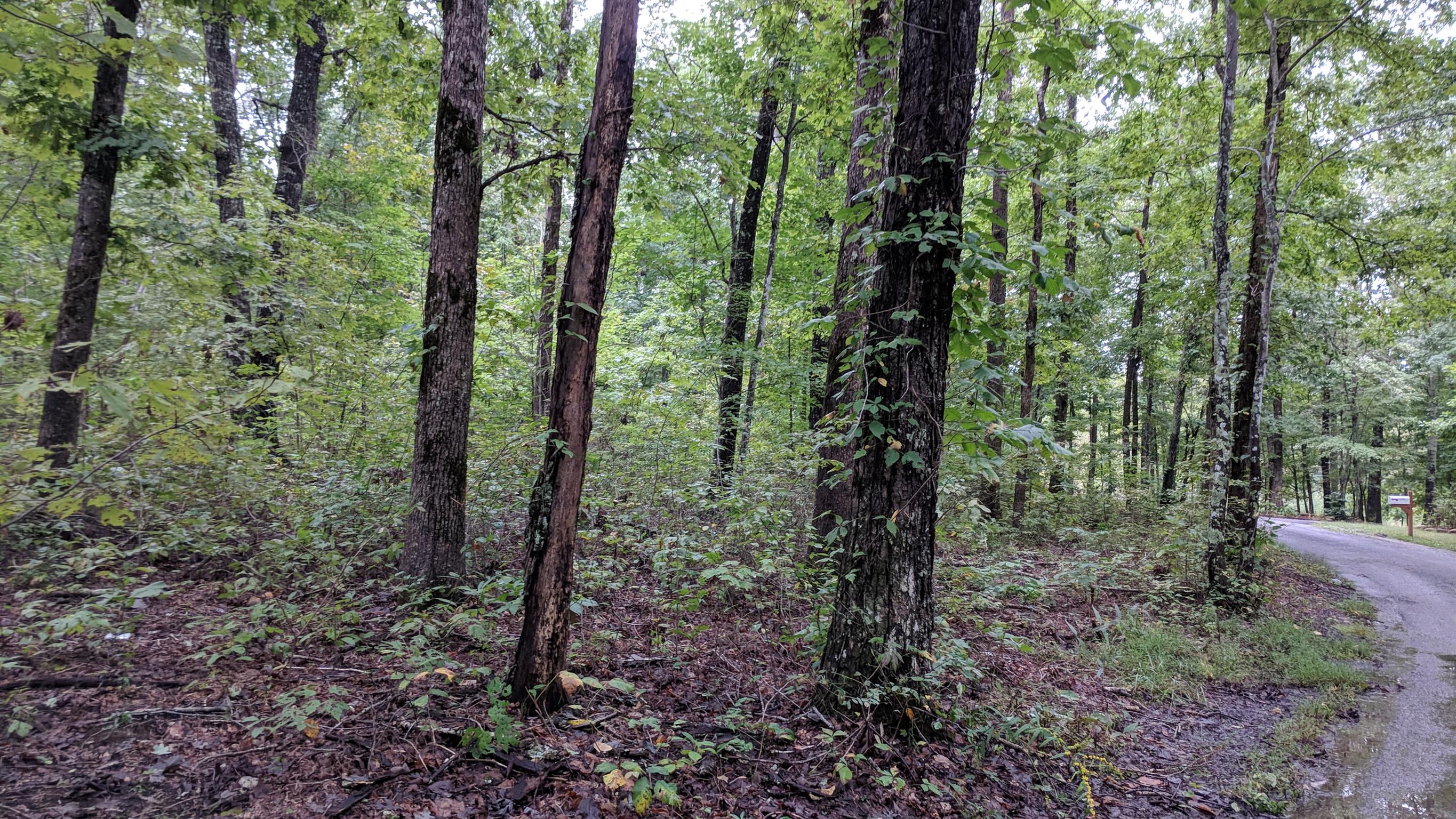 0 Partin Farm Road South Pittsburg, TN 37380 - Photo 5 of 23 Gallery Image 5