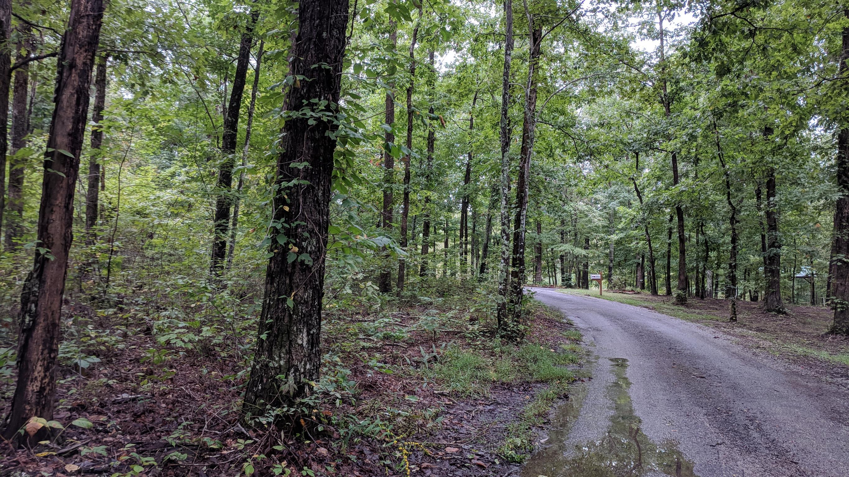 0 Partin Farm Road South Pittsburg, TN 37380 - Photo 6 of 23 Gallery Image 6