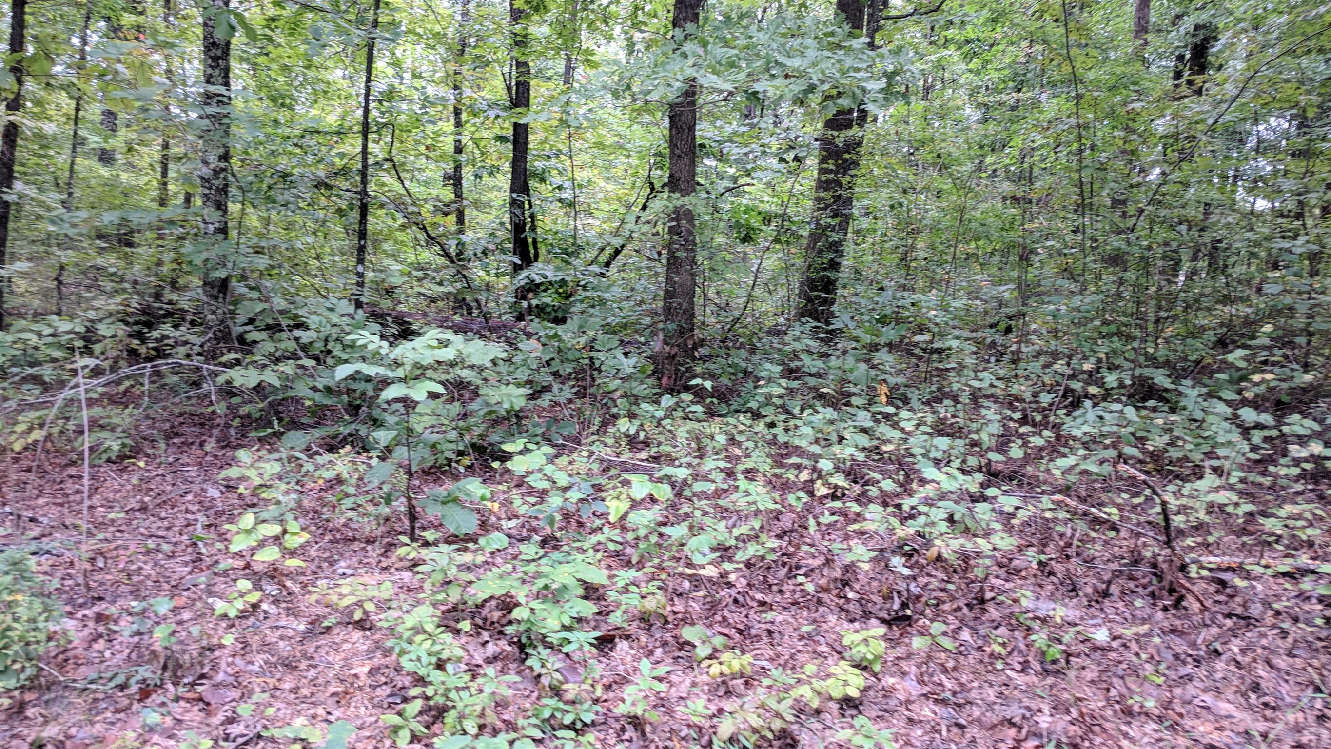 0 Partin Farm Road South Pittsburg, TN 37380 - Photo 7 of 23 Gallery Image 7