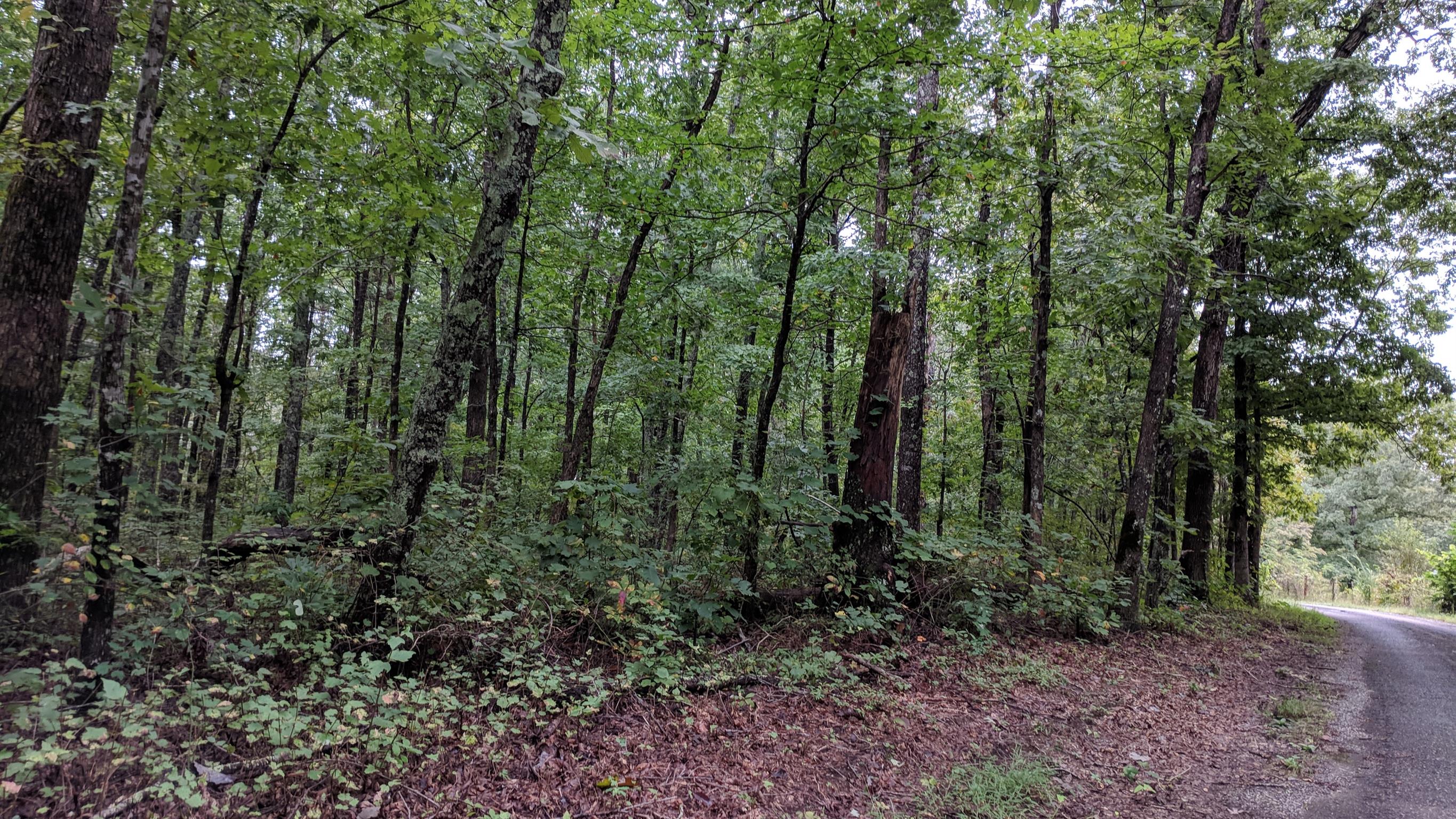 0 Partin Farm Road South Pittsburg, TN 37380 - Photo 8 of 23 Gallery Image 8