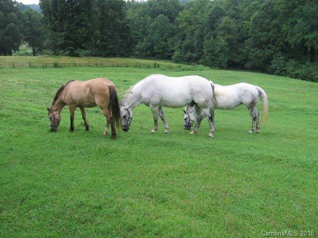 1177 Simerson Road Lexington, NC 27295 - Photo 3 of 24 Gallery Image 3