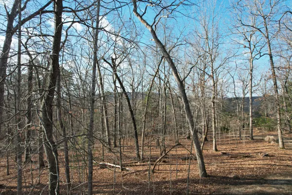 a view of outdoor space with lots of trees