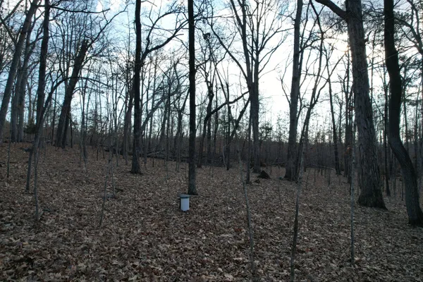 a view of outdoor space with lots of trees