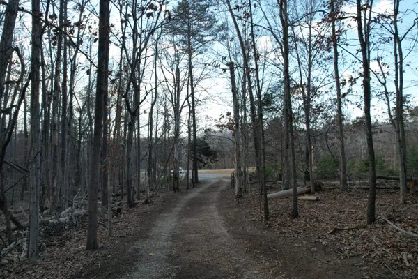 a view of a field with trees in the background