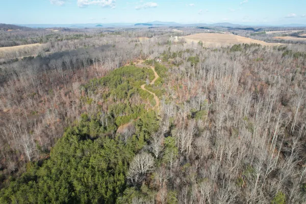 a view of a dry yard