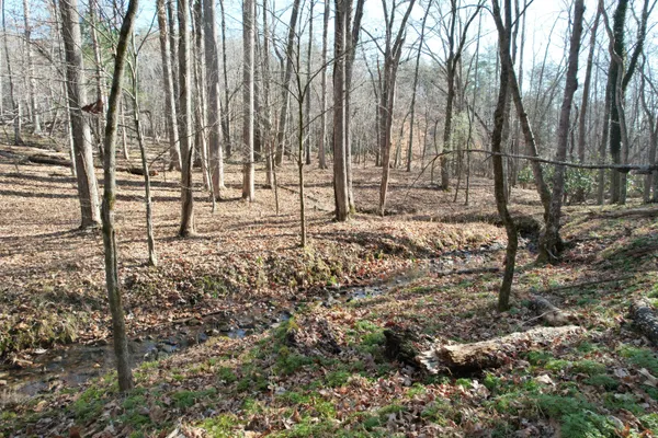 a view of wooden fence