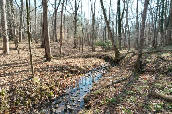 a view of backyard with green space