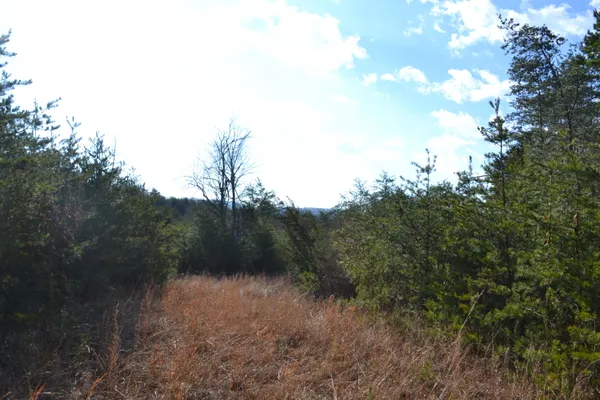 a backyard of a house with lots of plants and entertaining space