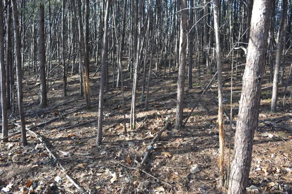 a view of a backyard of the house