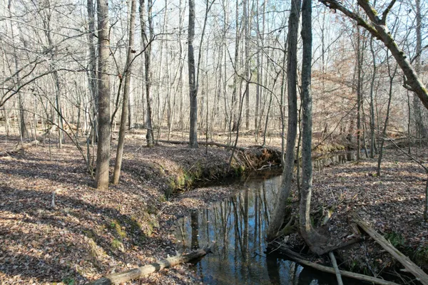 a view of outdoor space with lots of trees