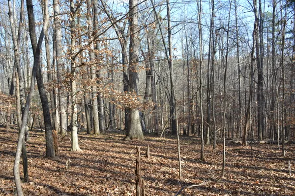 $628,000 | 8790 Virgil H Goode Highway, Rocky Mount, VA 24151