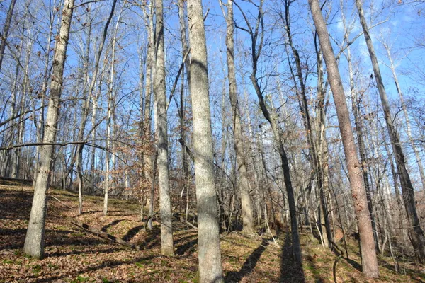 $628,000 | 8790 Virgil H Goode Highway, Rocky Mount, VA 24151