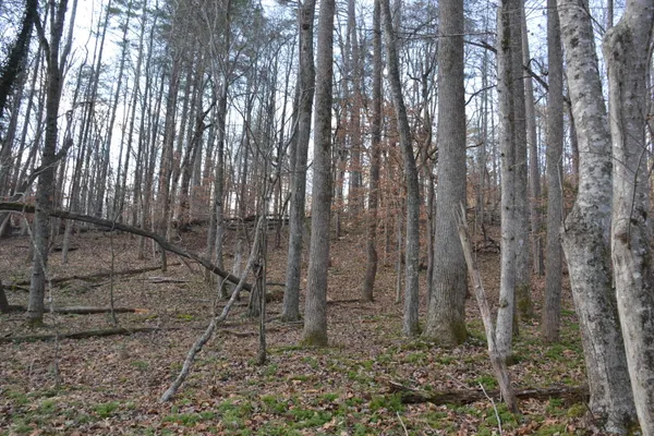 $628,000 | 8790 Virgil H Goode Highway, Rocky Mount, VA 24151