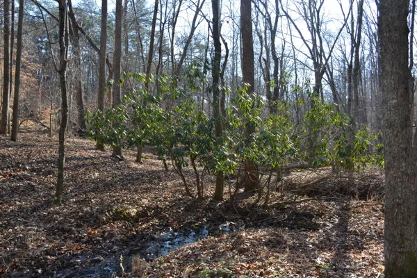 $628,000 | 8790 Virgil H Goode Highway, Rocky Mount, VA 24151