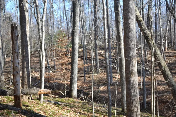 $628,000 | 8790 Virgil H Goode Highway, Rocky Mount, VA 24151