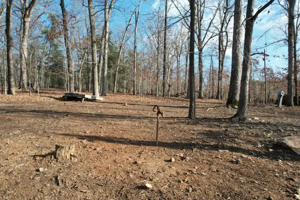 a view of a pathway of a yard