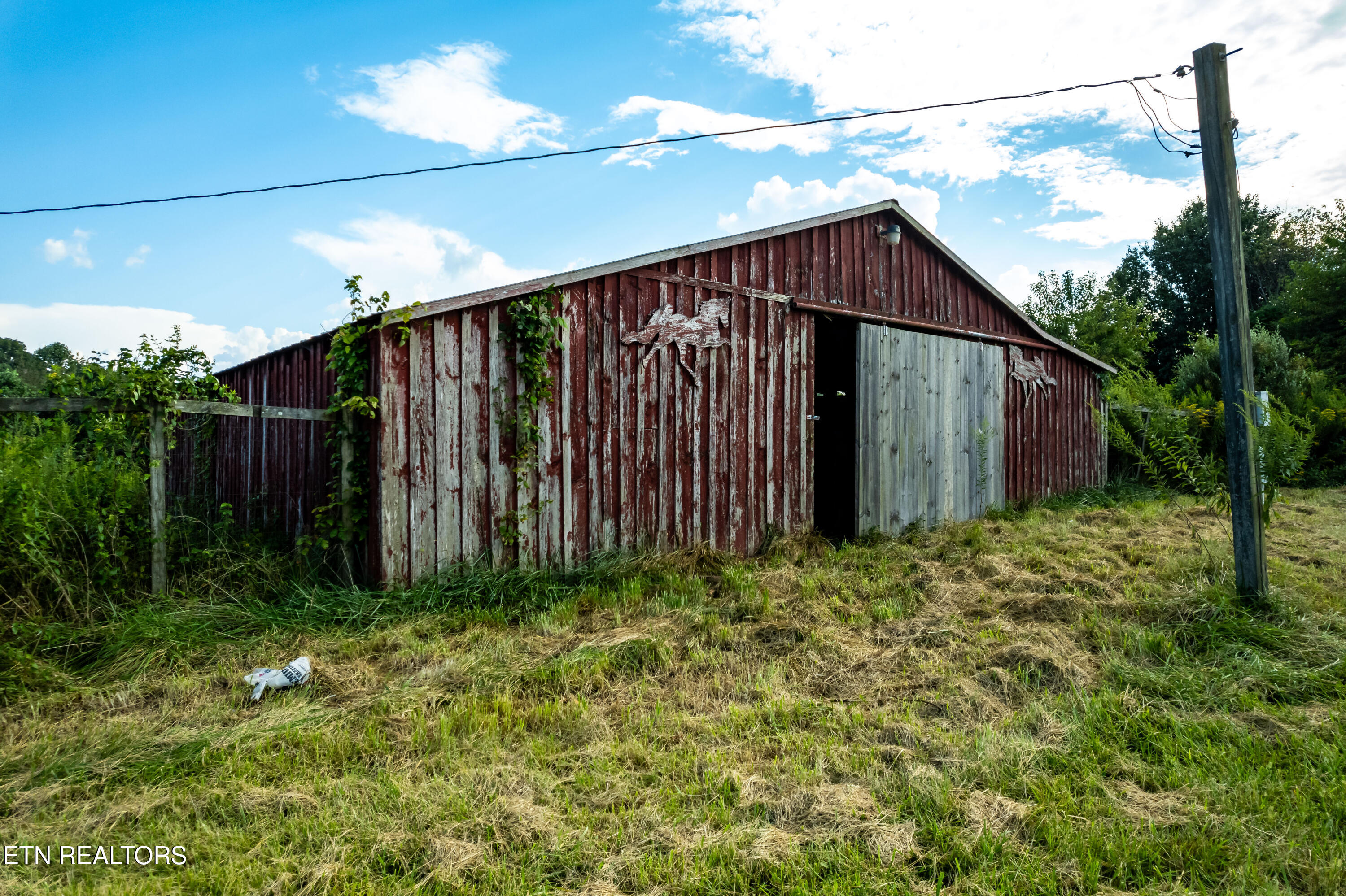 346 Christenson Road Deer Lodge, TN 37726 - Photo 18 of 49 346ChristensonRd-47