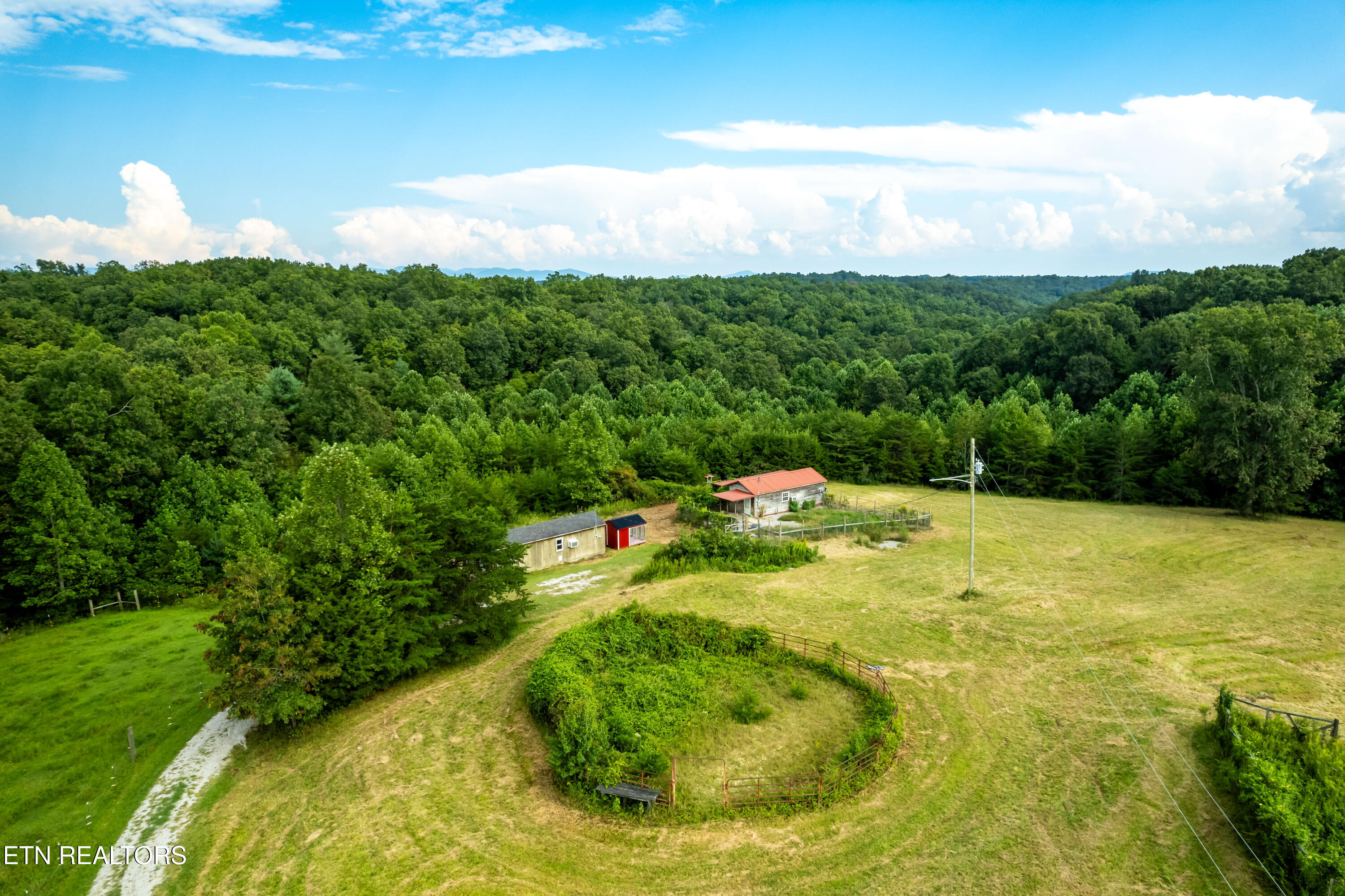 346 Christenson Road Deer Lodge, TN 37726 - Photo 21 of 49 346ChristensonRd-16