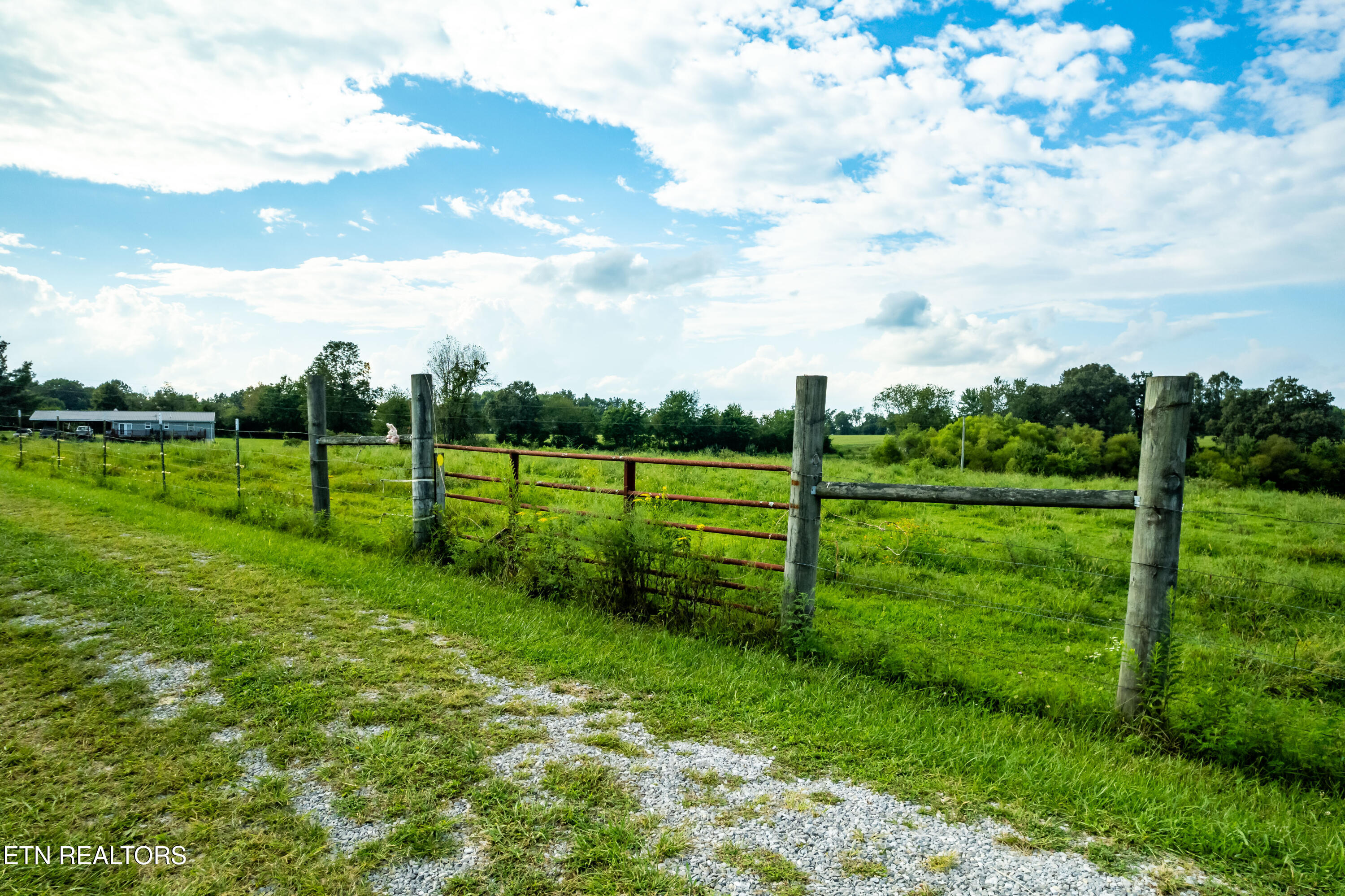 346 Christenson Road Deer Lodge, TN 37726 - Photo 26 of 49 346ChristensonRd-23
