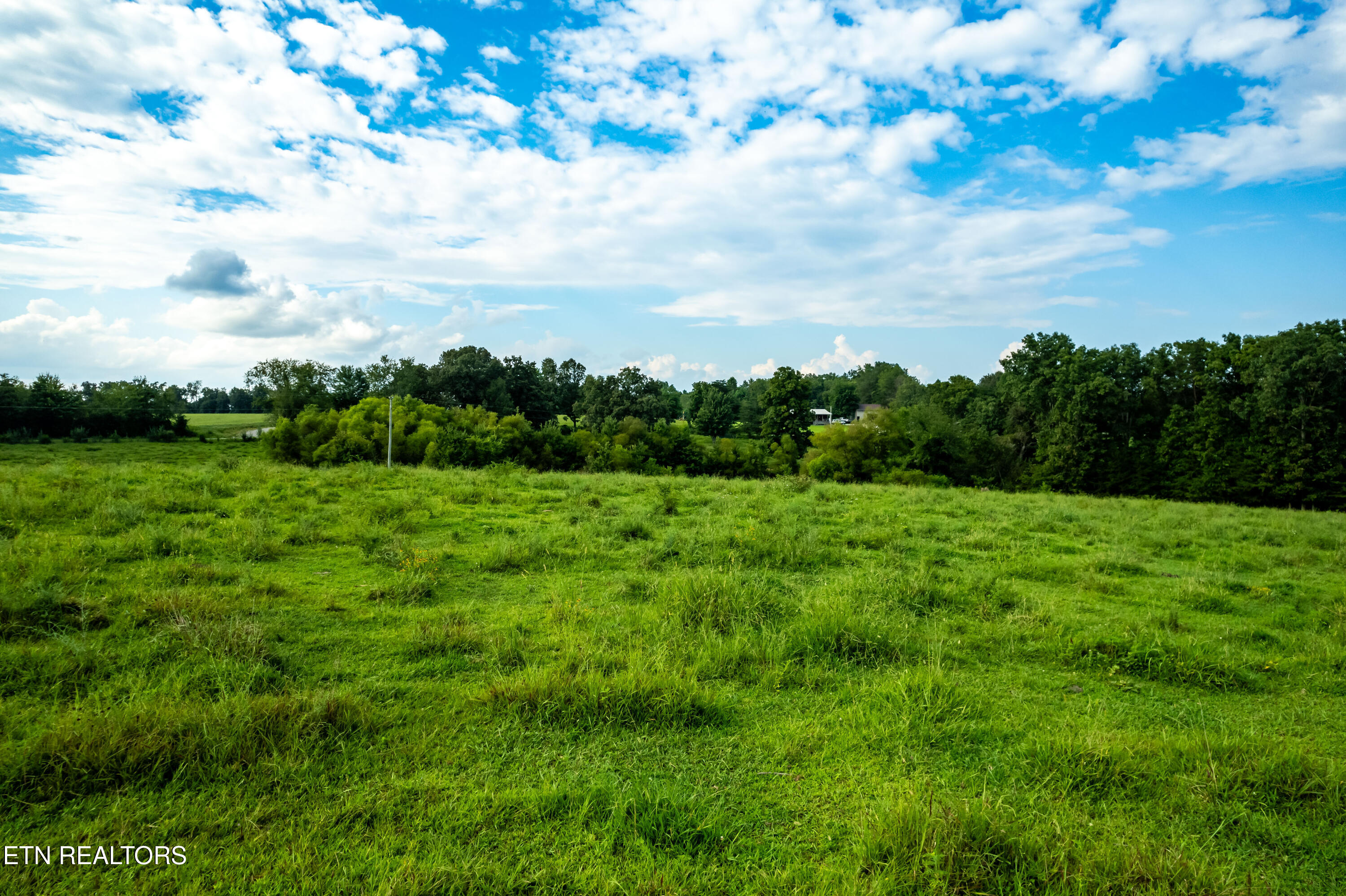 346 Christenson Road Deer Lodge, TN 37726 - Photo 28 of 49 346ChristensonRd-25
