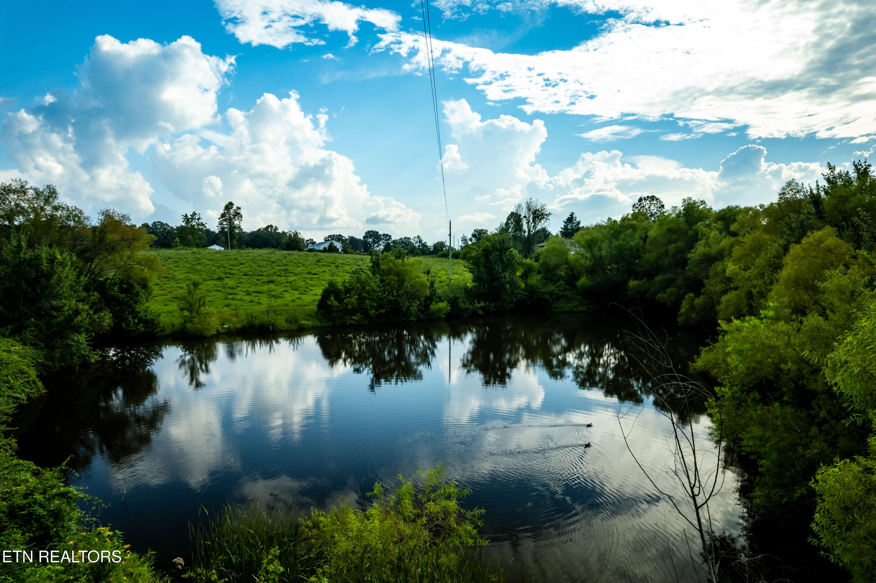 346 Christenson Road Deer Lodge, TN 37726 - Photo 3 of 49 346ChristensonRd-27