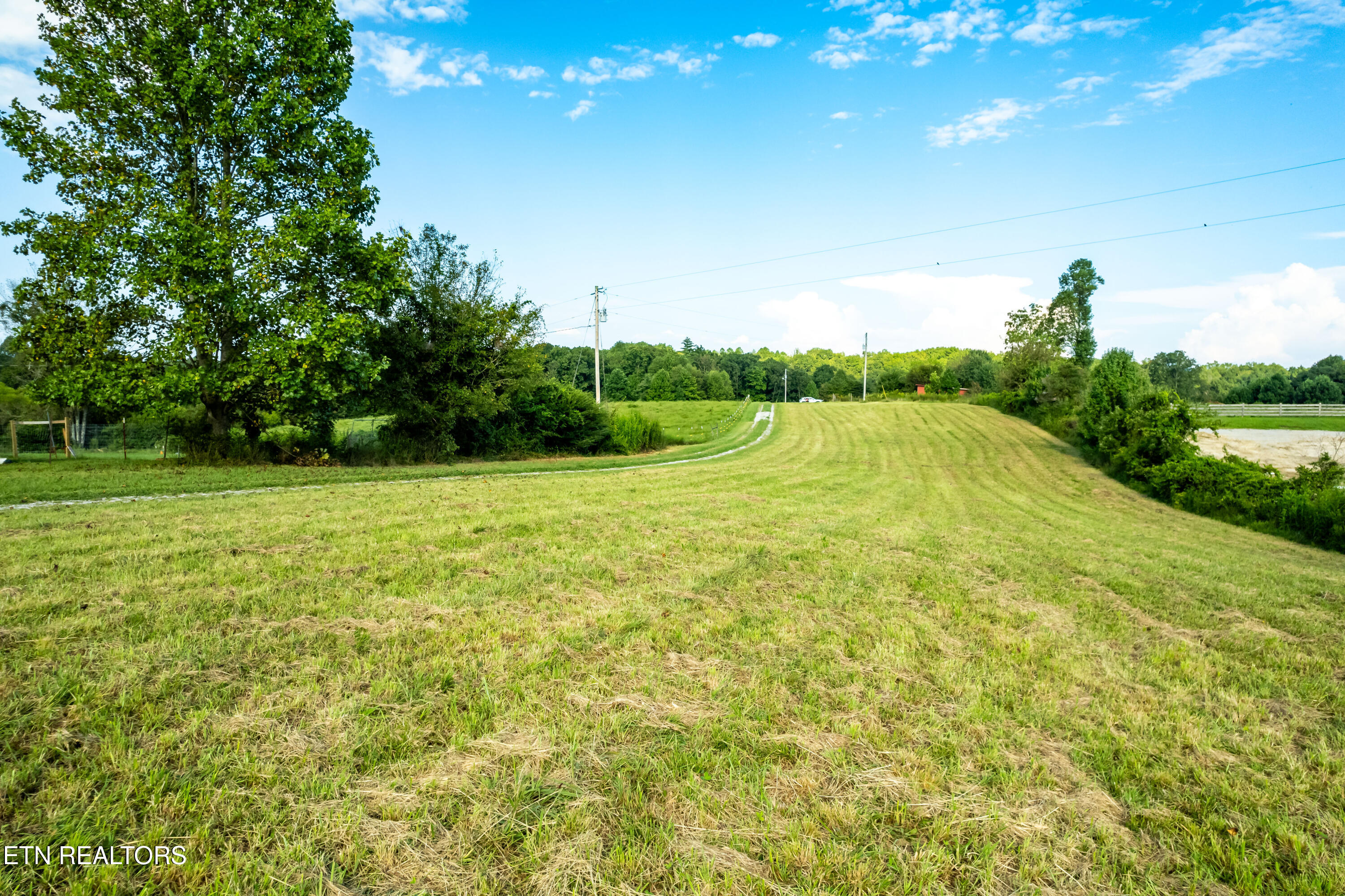 346 Christenson Road Deer Lodge, TN 37726 - Photo 44 of 49 346ChristensonRd-54