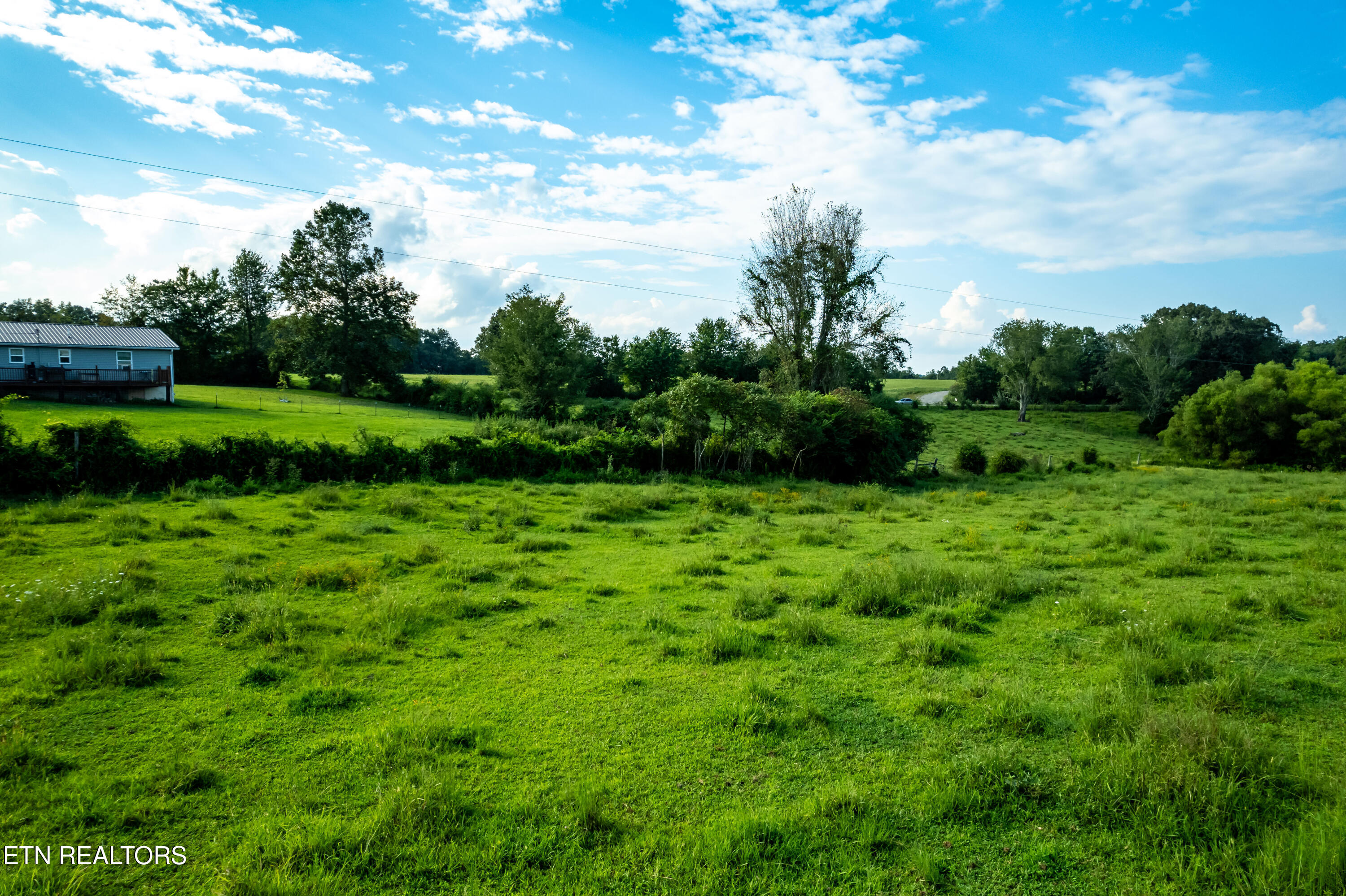 346 Christenson Road Deer Lodge, TN 37726 - Photo 45 of 49 346ChristensonRd-55