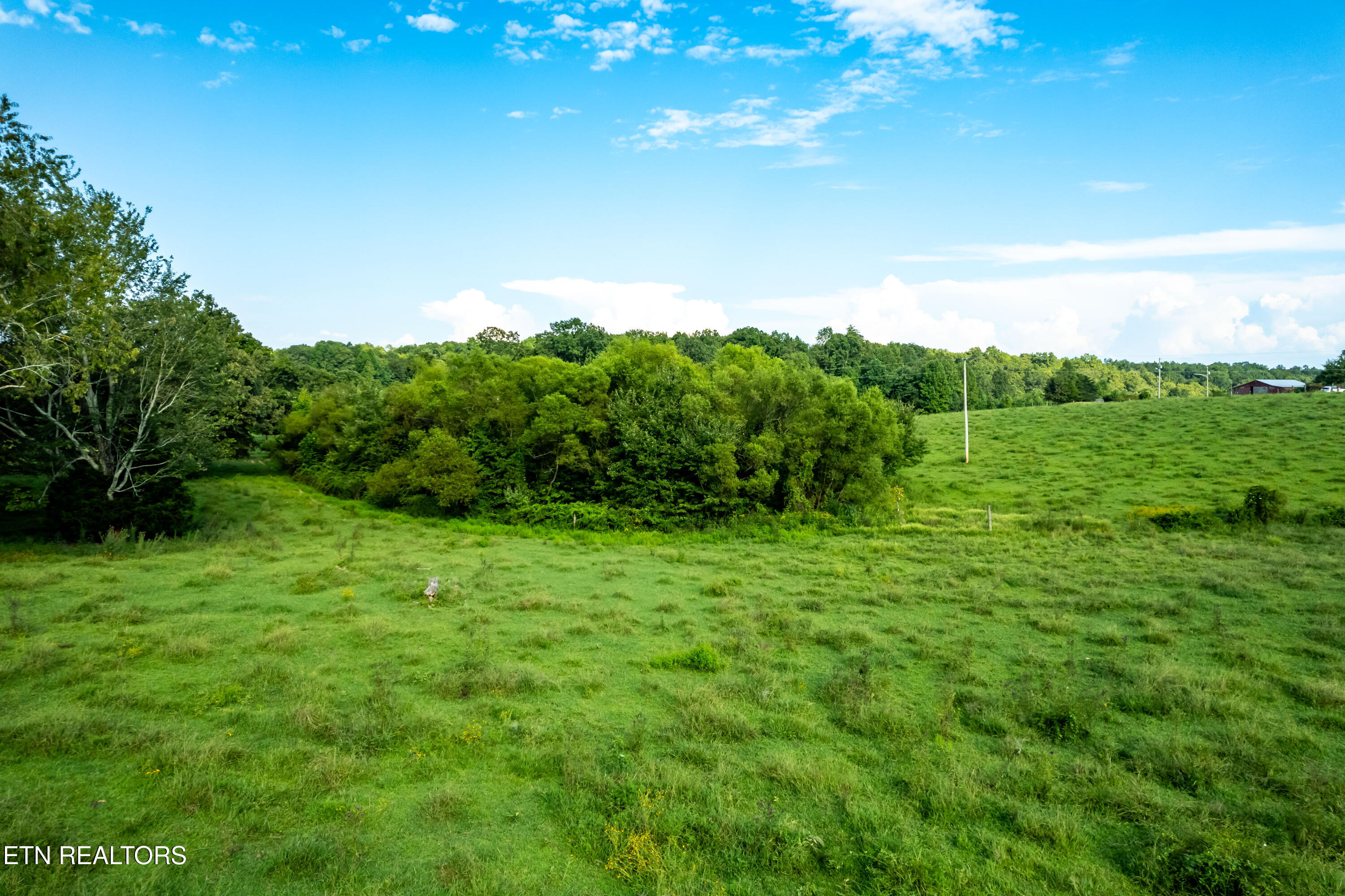 346 Christenson Road Deer Lodge, TN 37726 - Photo 47 of 49 346ChristensonRd-57