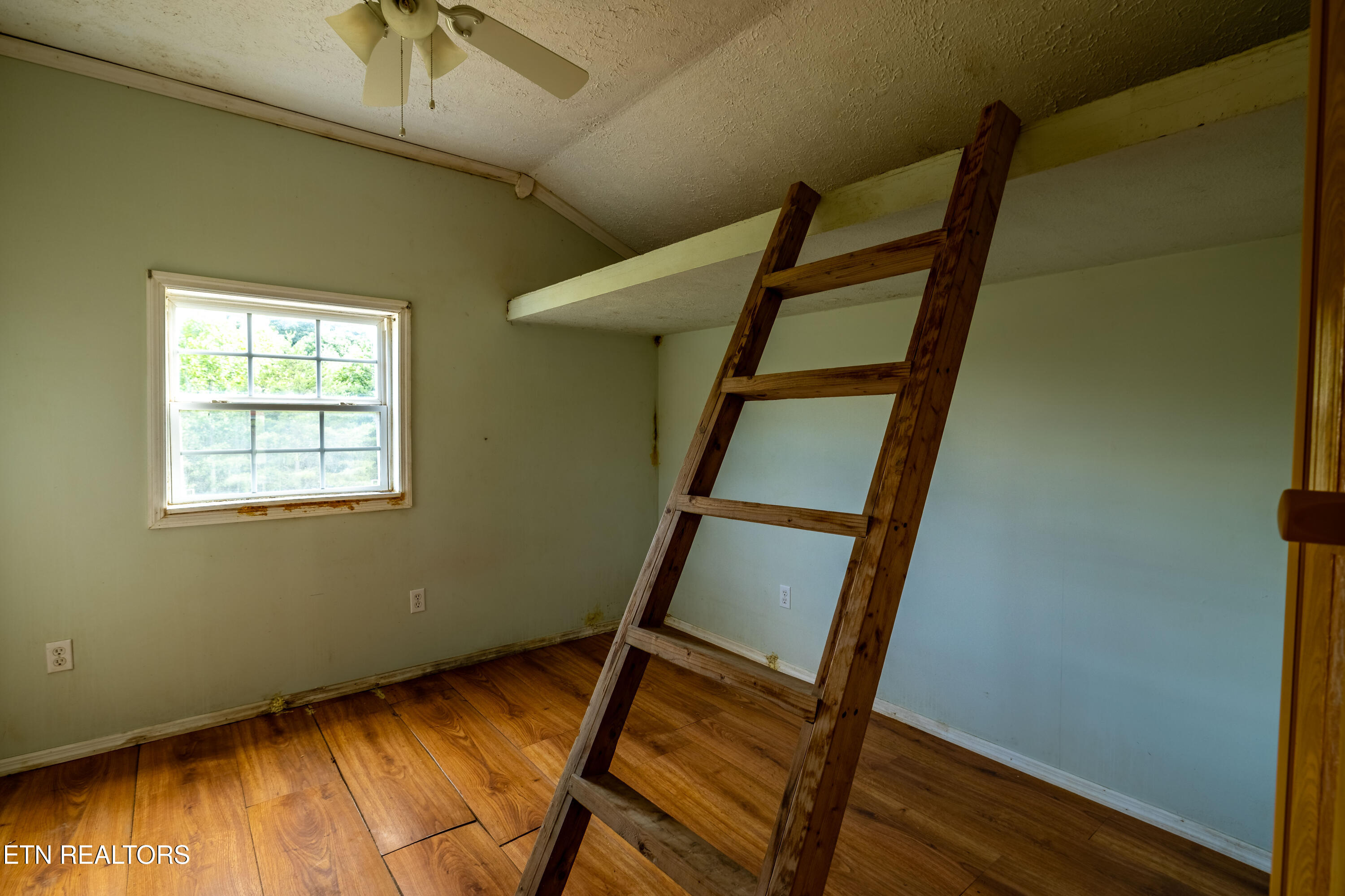 346 Christenson Road Deer Lodge, TN 37726 - Photo 9 of 49 346ChristensonRd-6