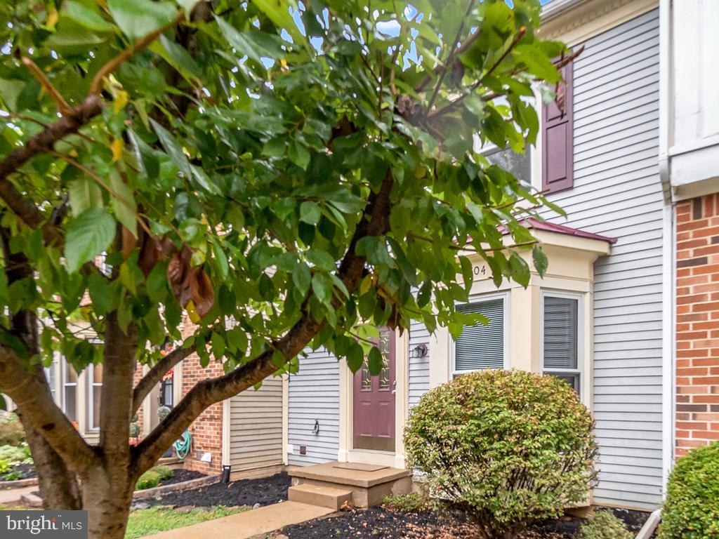 504 Harrogate Road Fredericksburg, VA 22406 - Photo 20 of 24