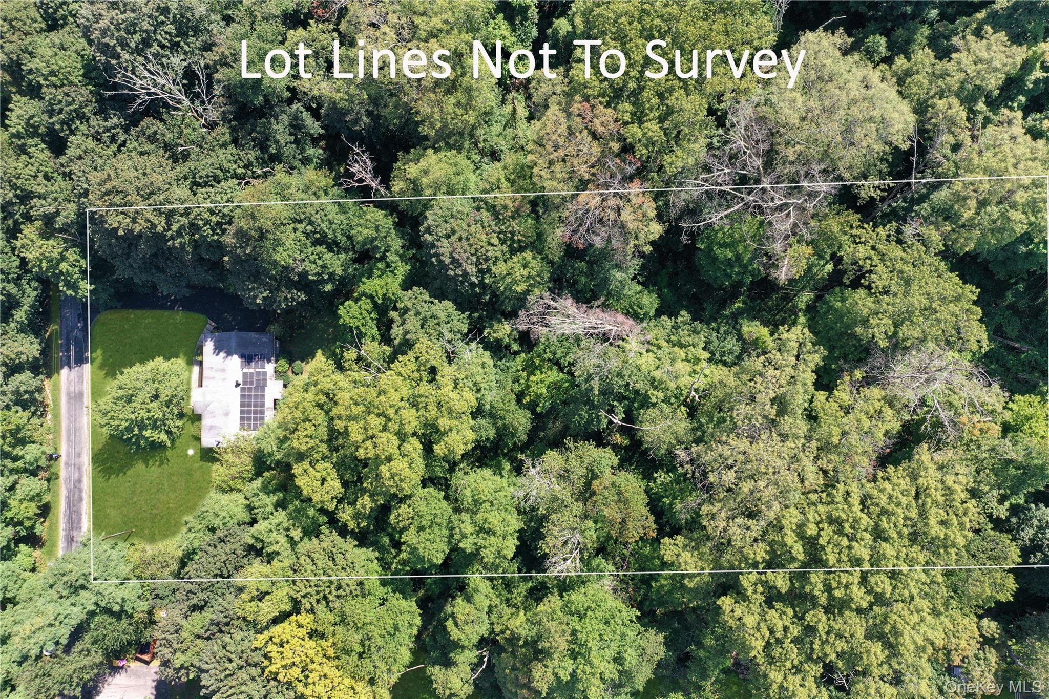 18 Stage Road Pine Island, NY 10969 - Photo 13 of 17 a view of a garden