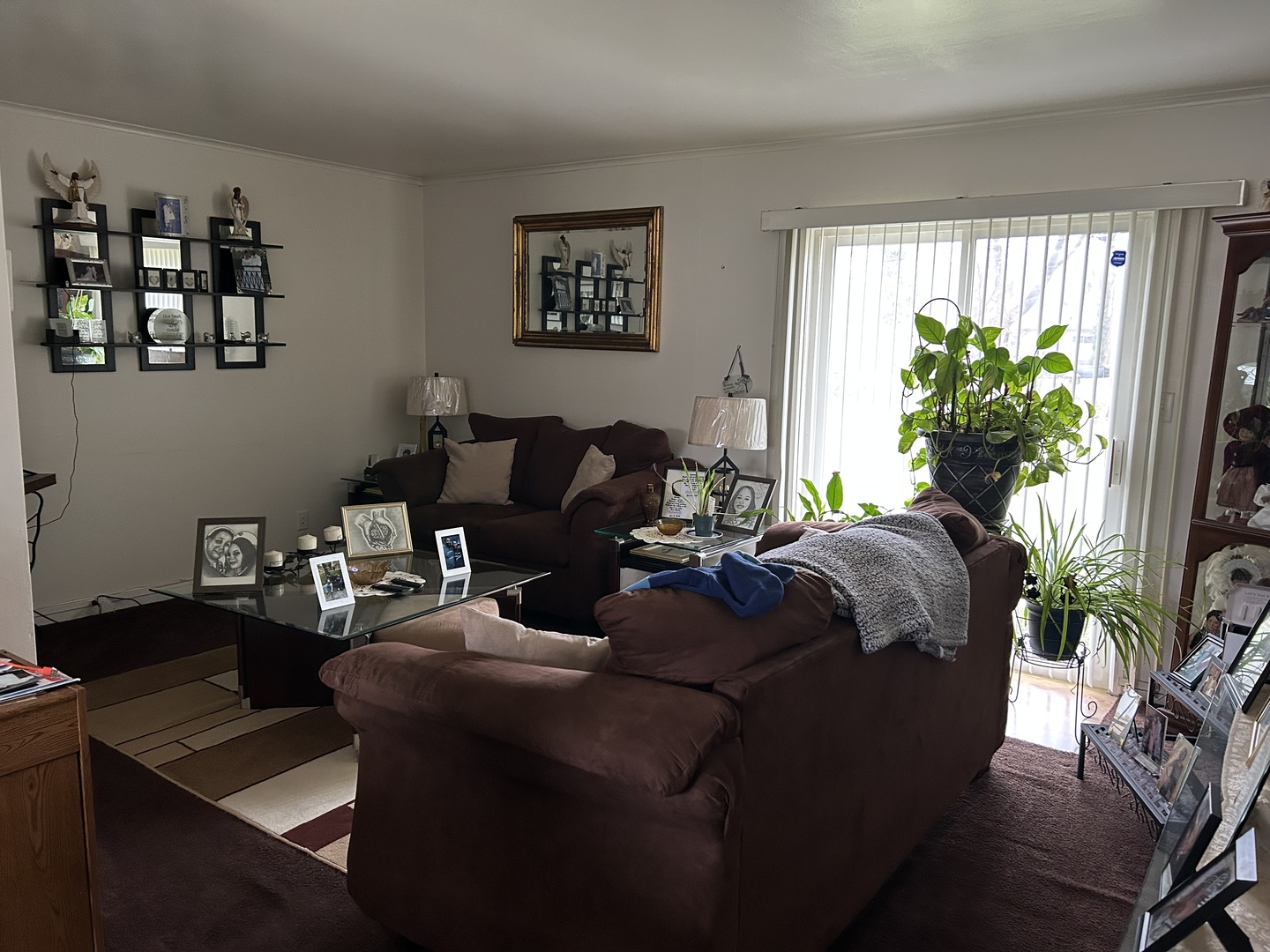 16302 Trumbull Avenue Markham, IL 60428 - Photo 4 of 12 a living room with furniture and a potted plant