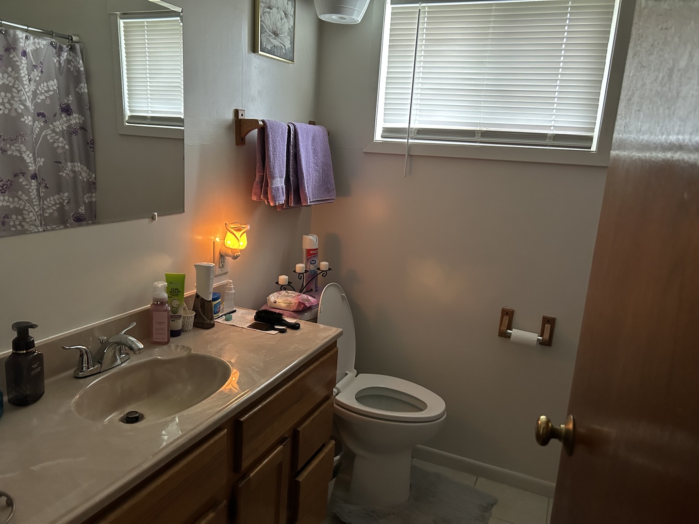 16302 Trumbull Avenue Markham, IL 60428 - Photo 5 of 12 a bathroom with a sink vanity mirror and toilet