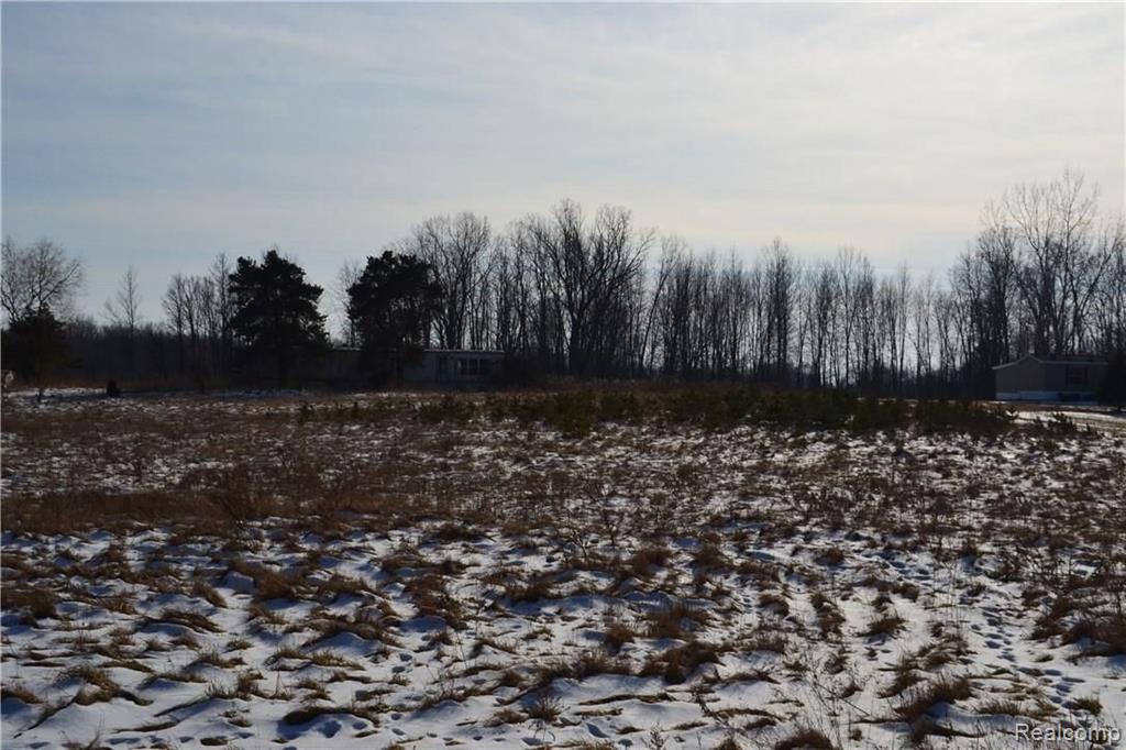 12749 Yale Road Yale, MI 48097 - Photo 1 of 2