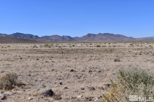 a view of a dry yard