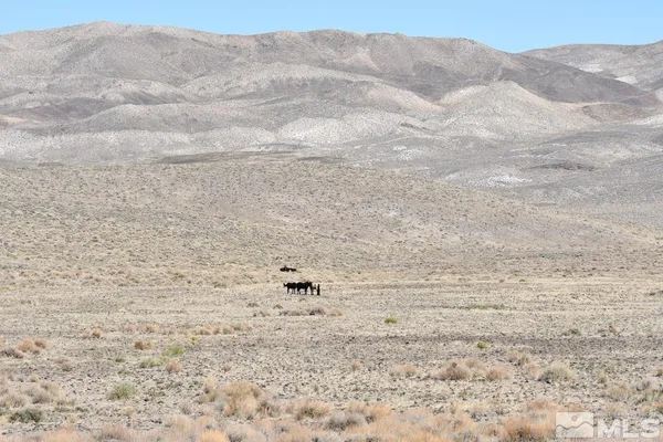 $795,000 | 6 Hwy 95a Fernley Nv 89408, Silver Springs, NV 89429