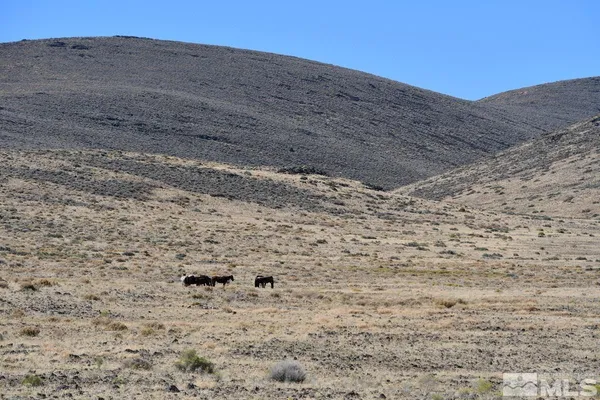 a view of a dry field